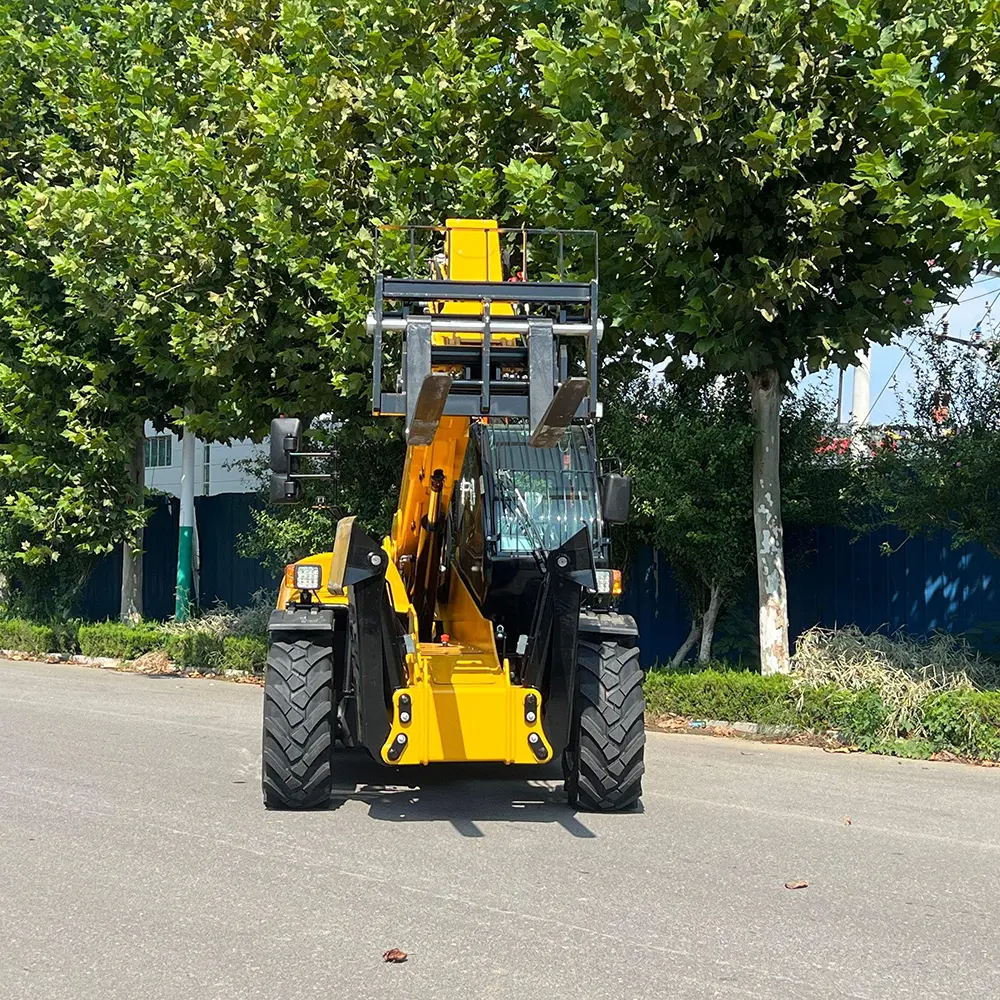 3-ton-telescopic-forklift-2