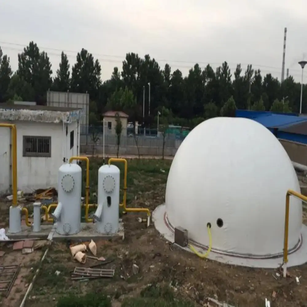 Biogas Desulfurization And Dehydration Equipment