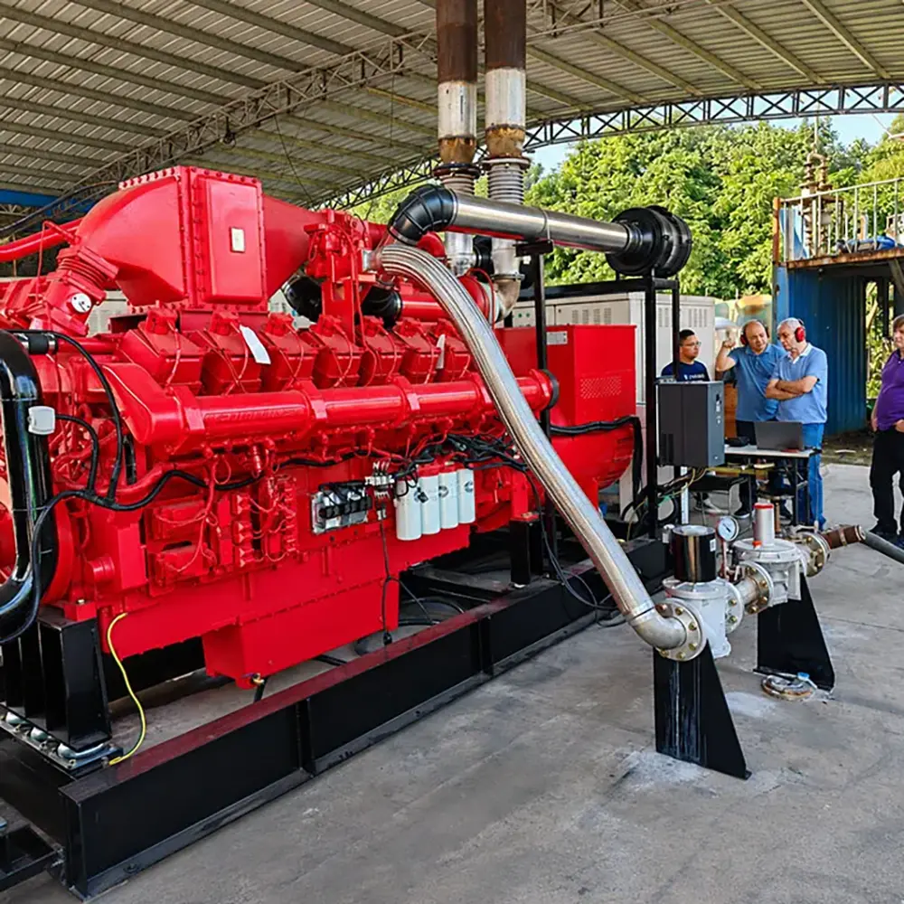 Natural Gas Generator Set