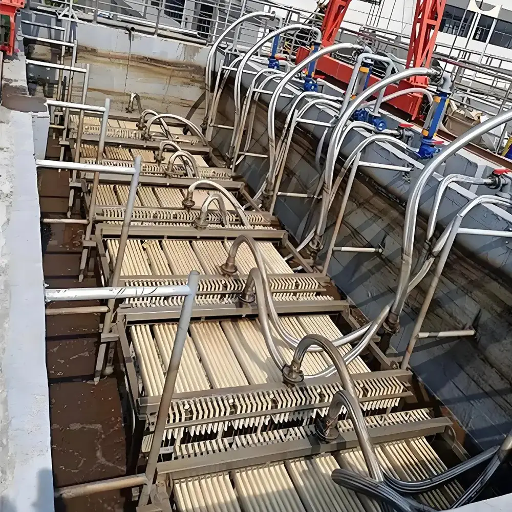 Efficient Treatment of Organic Matter and Pathogens / Mbr Membrane