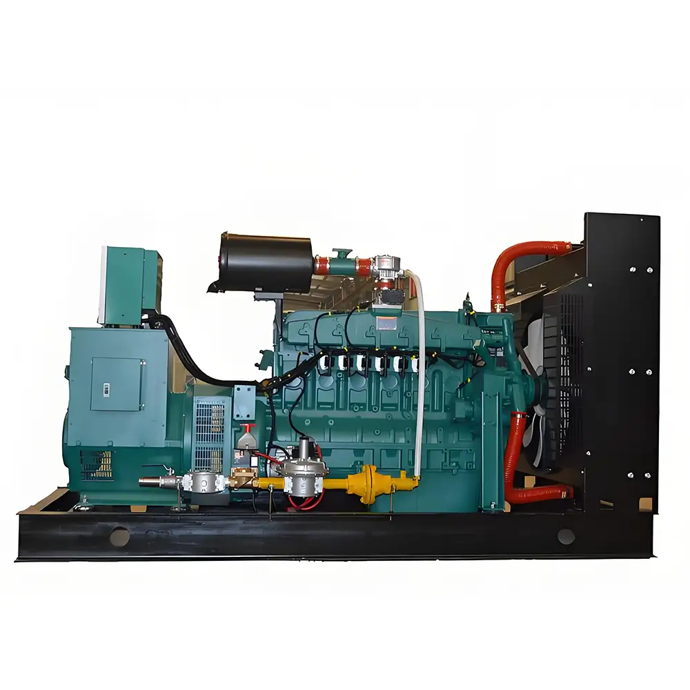 Biogas Electric Power Generation System