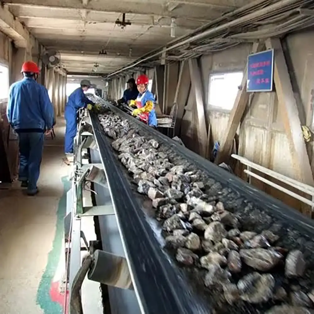 EP Fabric Mine Conveyor Belt