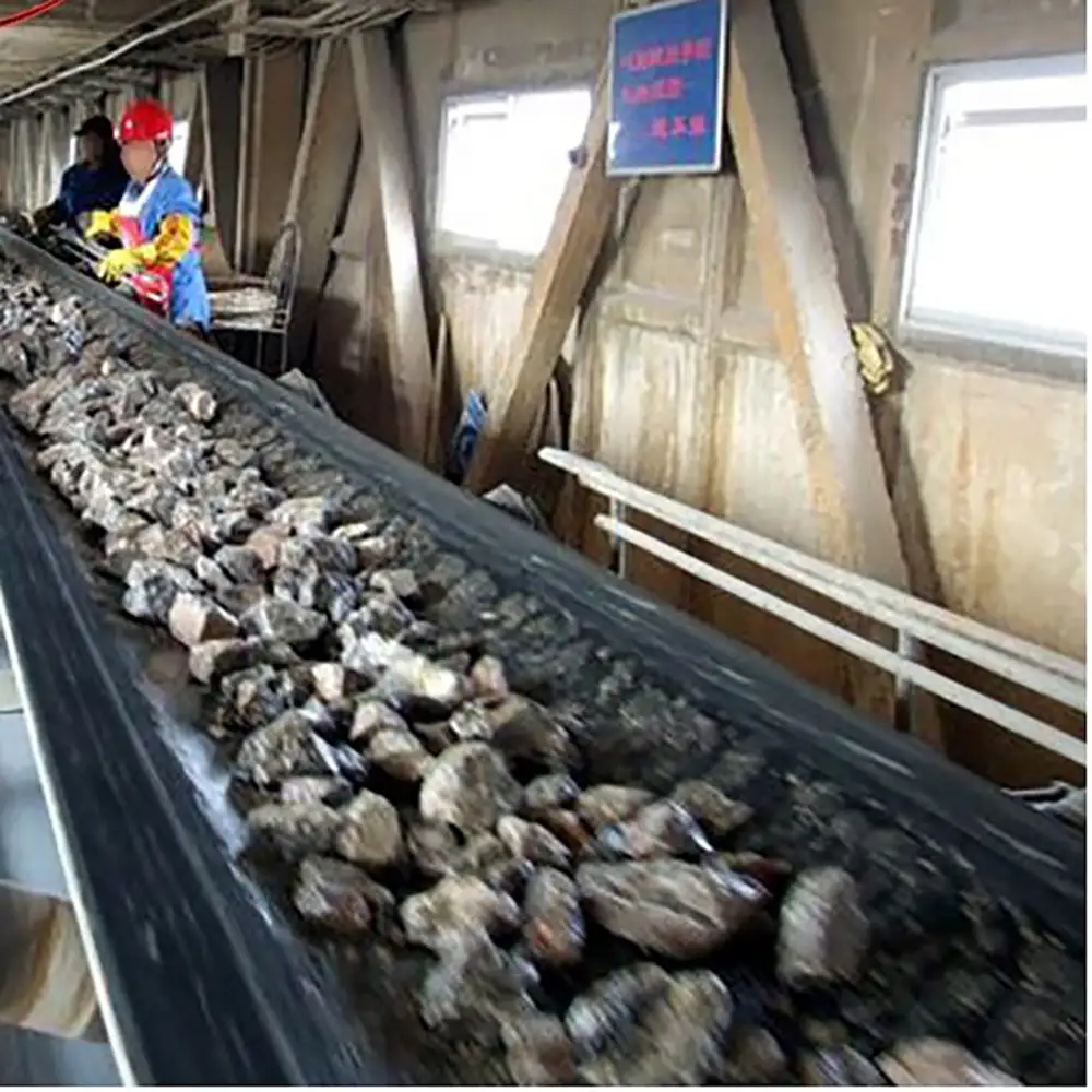 Coal Mine Rubber Conveyor Belt