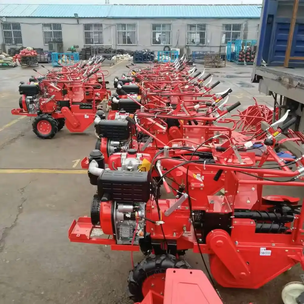 Maize Harvesting Equipment