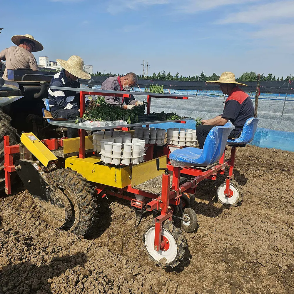 Multifunctional Vegetable Seedling Transplant Machine