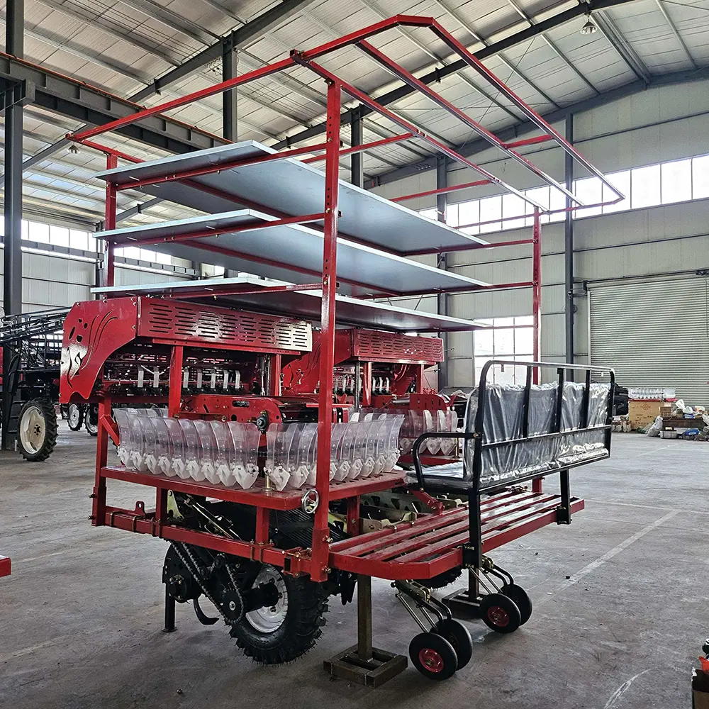 Tomato Transplanting Equipment