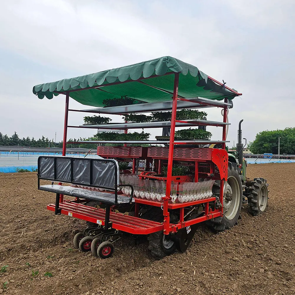 Tomato Chili Onion Transplanter Machine, Onion Seedling Planting Machine