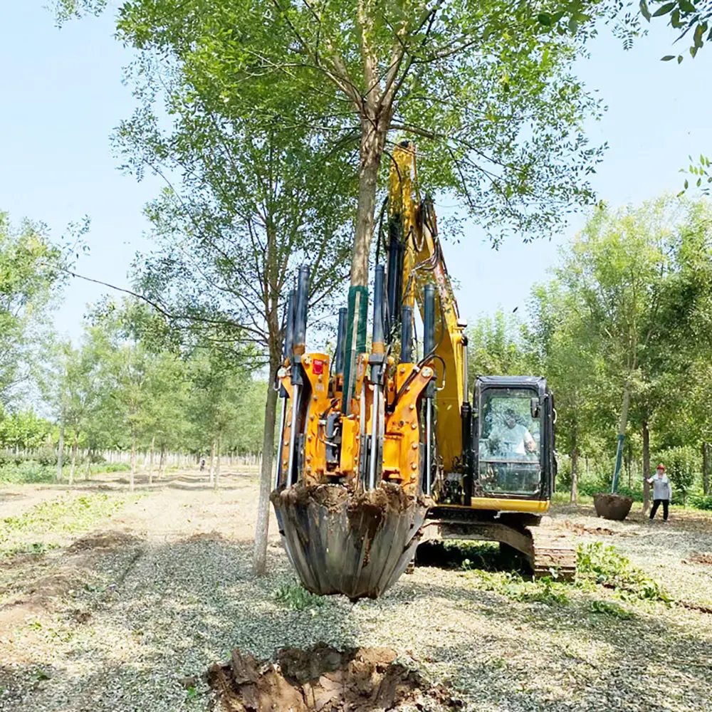 Tree Transplanting Equipment