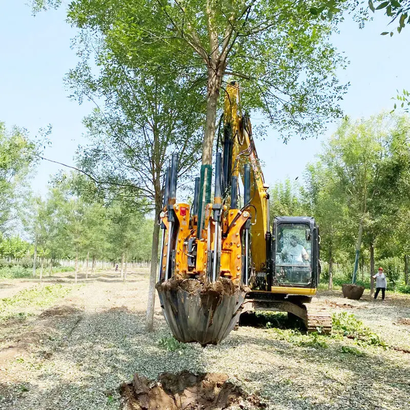 Tree Transplanter